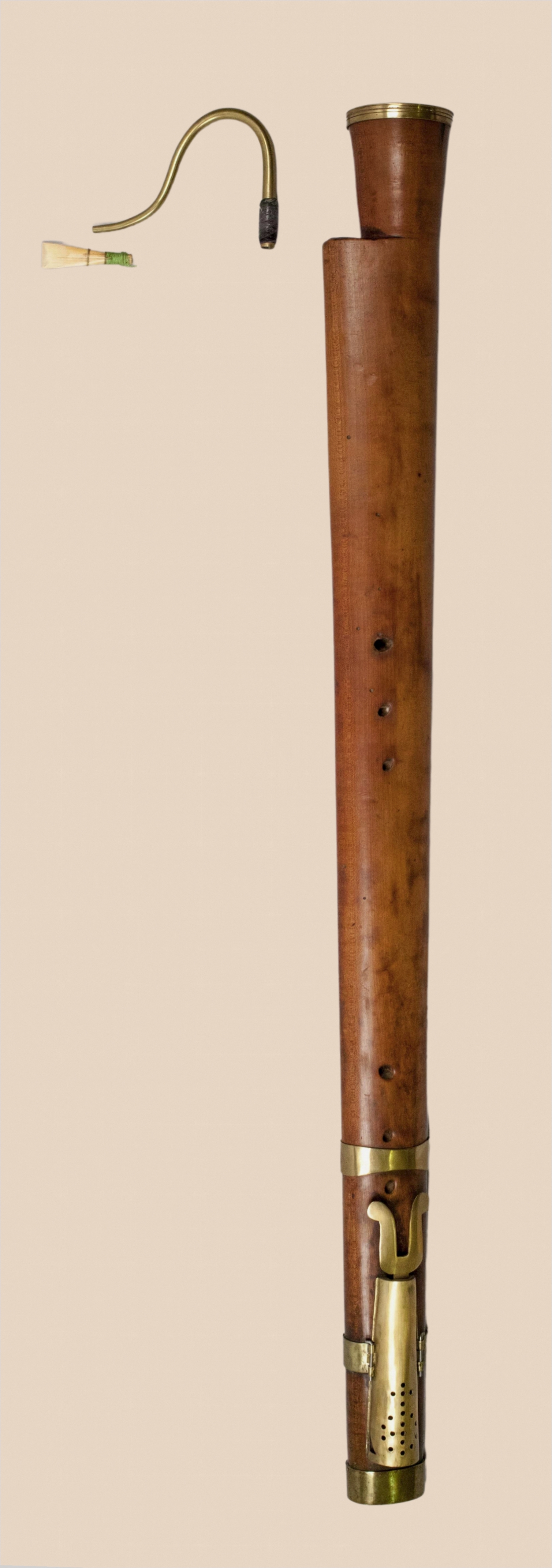 Figure 1. Photo of a dulcian