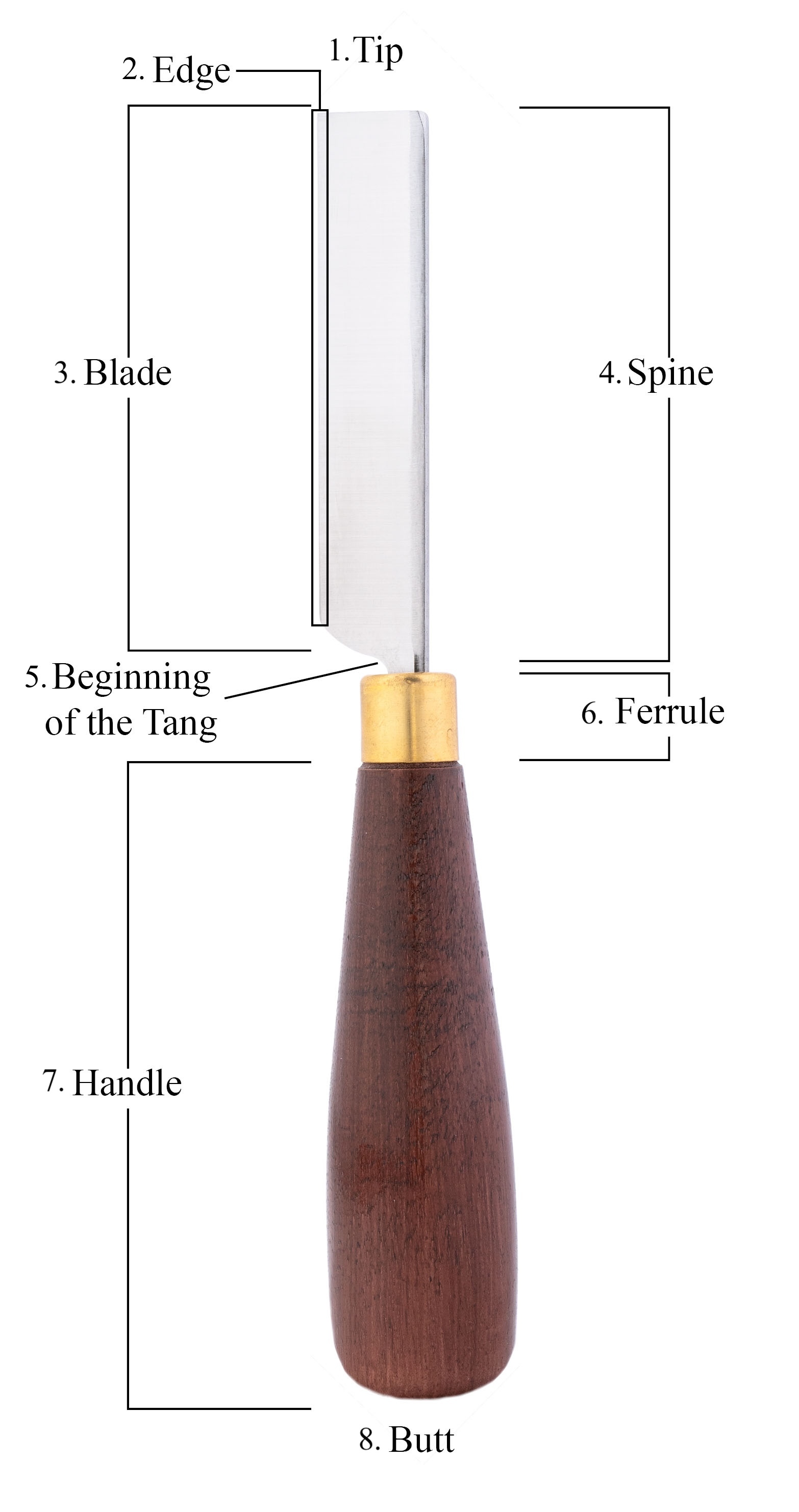 figure 2 Diagram of a reed knife with parts labeled