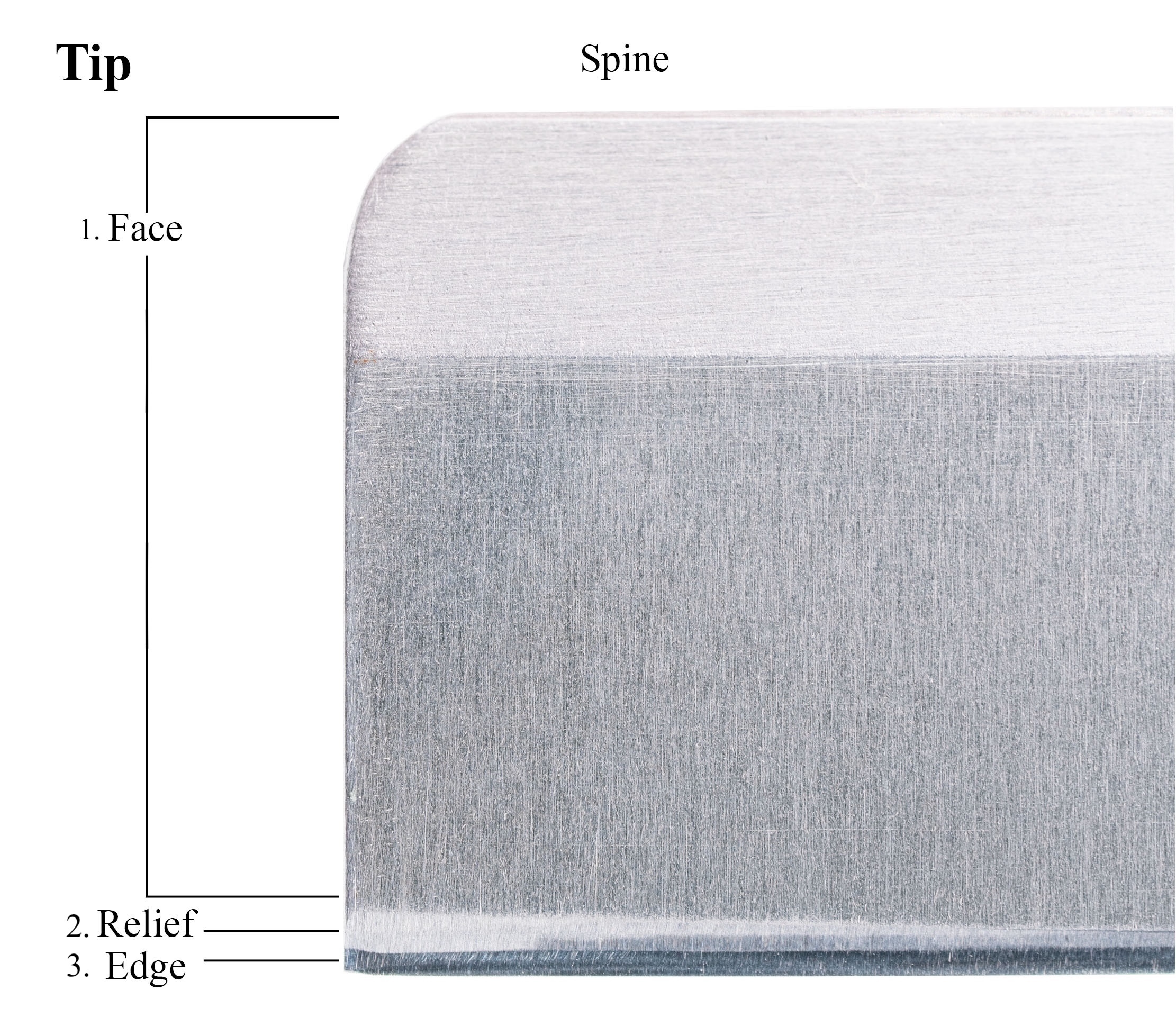 Figure 1 Image of a double hollow ground reed knife tip with sections labeled.