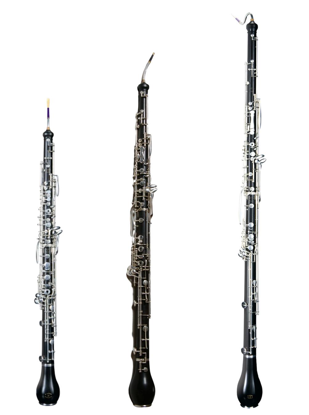 figure 3 Figure 3. Image of an oboe d'amore, Englsih horn, and bass oboe.