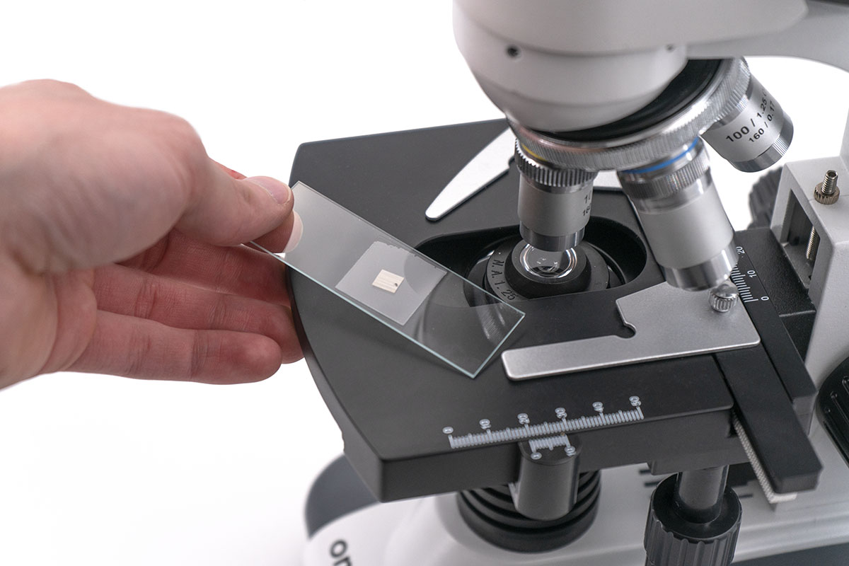 Microscope with Slide