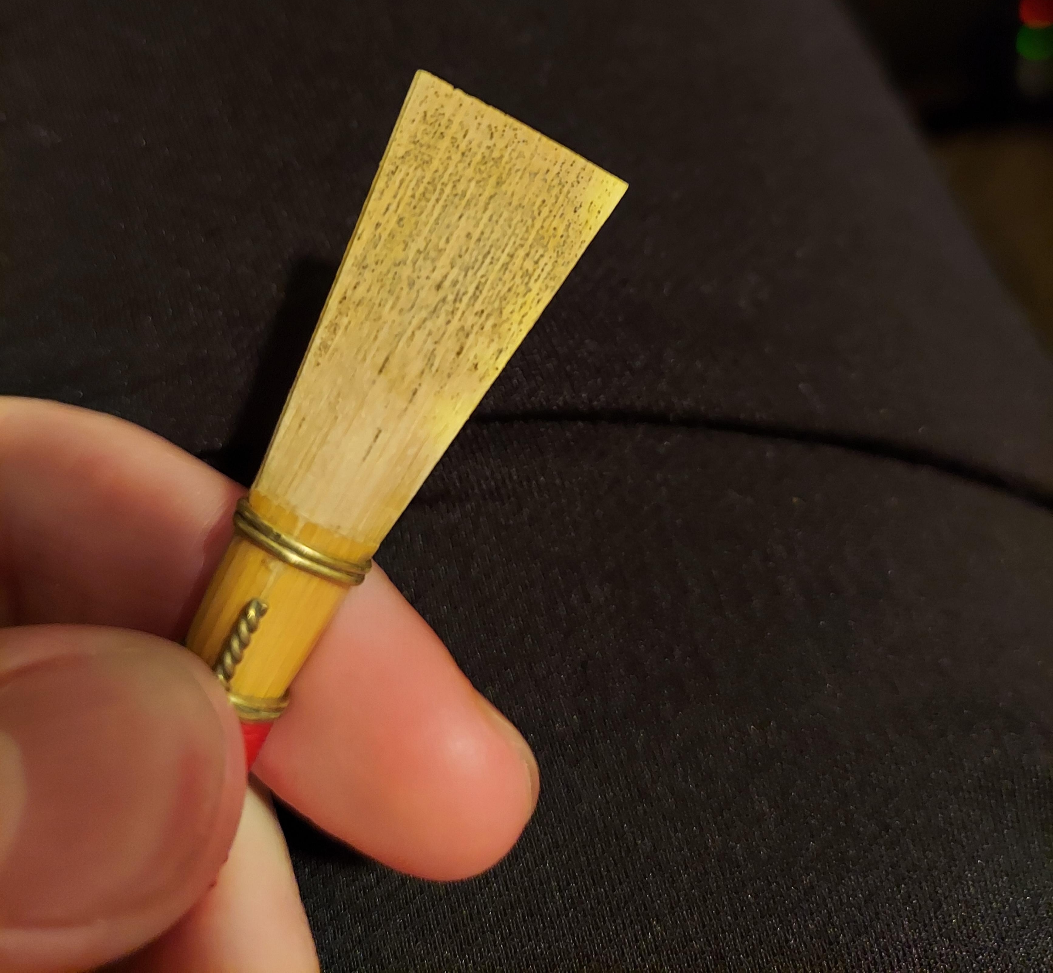 Figure 2. Figure 2. Photo of a moldy reed